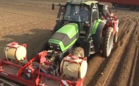 Integrating youth in Agrifood systems transformation in Zimbabwe