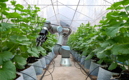 Food and Agriculture Organization (FAO), Southern African Development Community (SADC) Parliamentarians join forces to advance the Right to Food and agrifood systems transformation