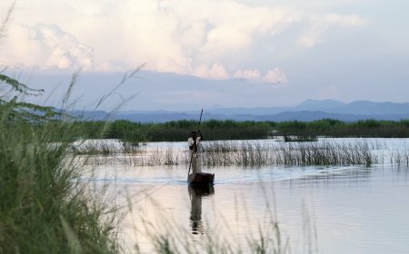 The Food and Agriculture Organization of the United Nations (FAO) unveils massive online open course for waterbird management in African wetlands