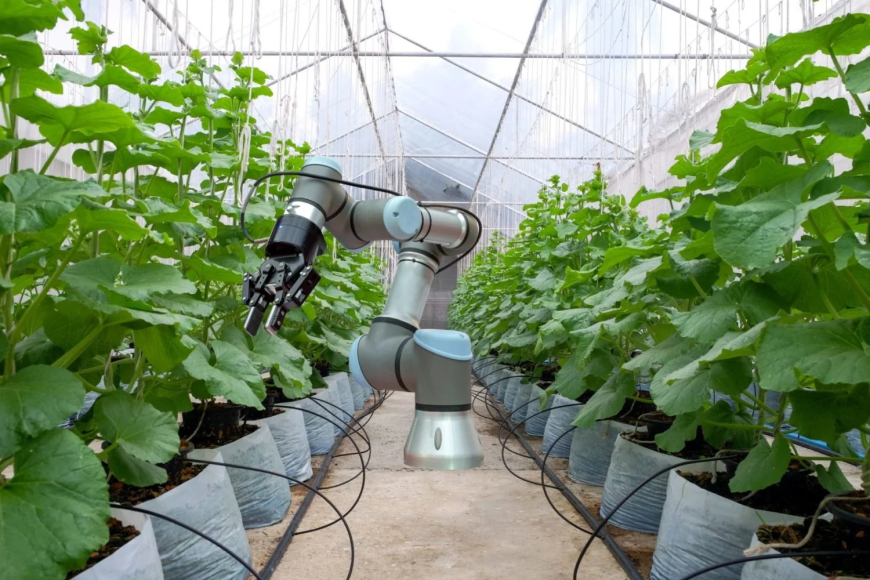 Food and Agriculture Organization (FAO), Southern African Development Community (SADC) Parliamentarians join forces to advance the Right to Food and agrifood systems transformation