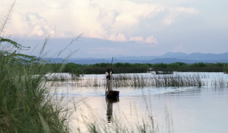The Food and Agriculture Organization of the United Nations (FAO) unveils massive online open course for waterbird management in African wetlands