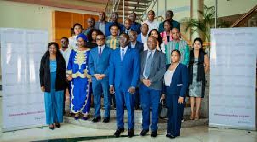 Africa CDC and strategic health partners operating in Central Africa have drawn up an outline of a joint 2026–2027 roadmap to strengthen health security in the Central African region.