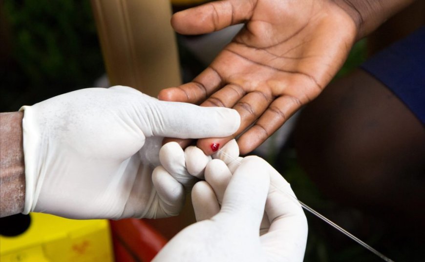 Malaria is on the rise in southern Africa, with several countries – including Botswana, eSwatini, Namibia and Zimbabwe – reporting new outbreaks, underscoring the ongoing challenges in eradicating the disease in Africa.
