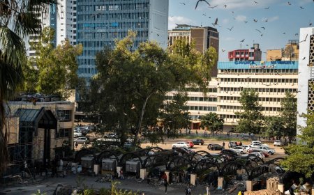 New wave of special funds shakes up Kenyan finance