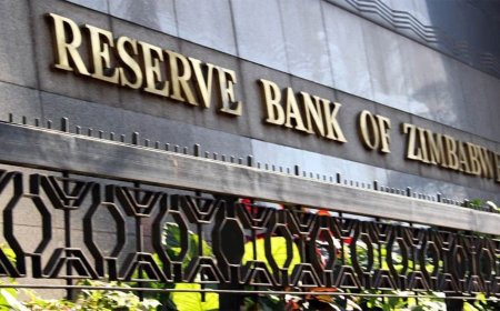 The State of the Fintech Sector in Zimbabwe: A Five-Year Review