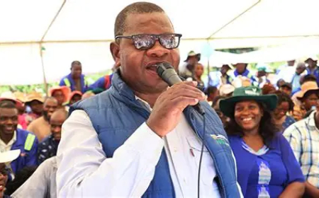 Driving The Growth of Zimbabwe’s Horticulture  Industry: Policy Reforms, Climate Resilience and  Market Competitiveness for Vision 2030