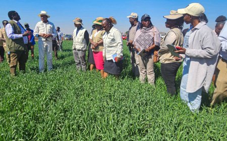 Zimbabwe, AFDB Forge Strategic Path for Agricultural Transformation