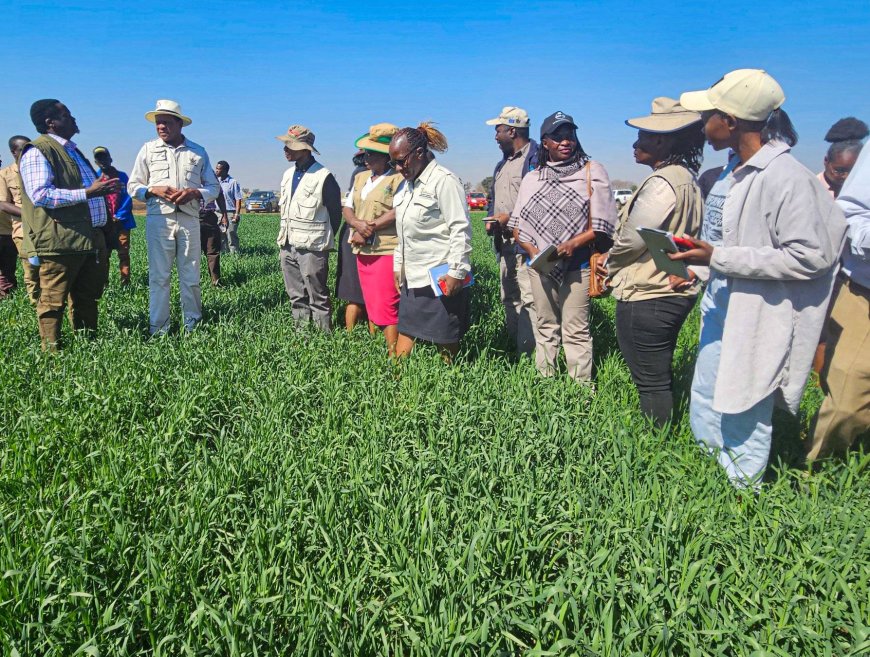 Zimbabwe, AFDB Forge Strategic Path for Agricultural Transformation