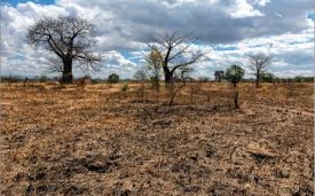 Climate Risk and Insurance Tech: Africa’s Fintechs Step Up to the Climate Challenge