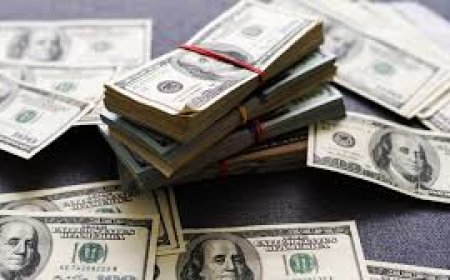 The Digital Surge: How Zimbabwe's FinTech Sector is Navigating Currency Shifts and Explosive Growth