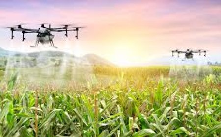 Beyond the Launch: An Analysis of SACP's Performance and Pathways to Greater Impact