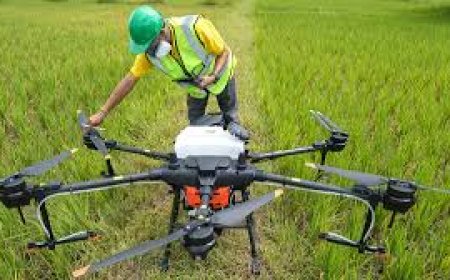 Zimbabwe Launches Ambitious Push for Youth-Led Agricultural Transformation   