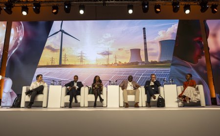 Financing & De-Risking African Energy: G20 Outcomes Underscore the Urgency of Unlocking Capital for Africa’s Energy Transition