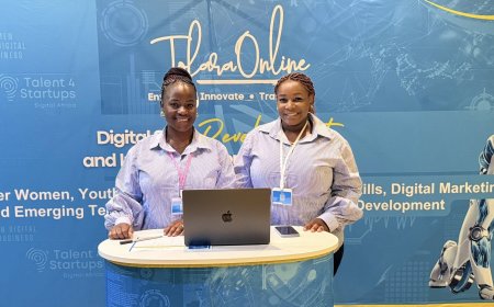 Zimbabwean Ingenuity: How Tofara Online is Building the Human Foundation for FinTech