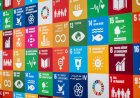 Zimbabwe’s Push for SDG 13 Resilience Under the UNDP CPD 2025