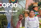 COP30: A Litany of Promises, and A Mountain of Needs