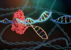 African Experts Convene in Nairobi to Validate Genome Editing Findings Across 16 Countries