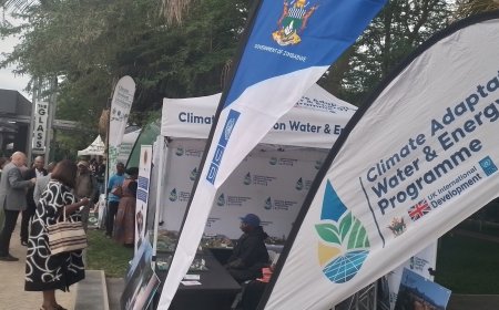 UNDP Zimbabwe Reaffirms Commitment Across Key Development Pillars For 2025