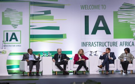 Project Preparation: From Concepts to Bankability