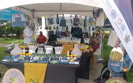 Deep Dive: The UNDP's Resilience Fund and Zimbabwe's Development Horizon (CPD 2022-2026)