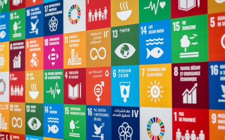 Zimbabwe’s Push for SDG 13 Resilience Under the UNDP CPD 2025