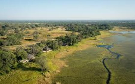 Zimbabwe Launches Ambitious BIOFIN Plan to Mobilise Millions for Nature Economy