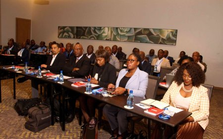 Insurance Institute of Zimbabwe Honors Industry Leaders at Annual Excellence Awards