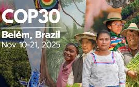 COP30: A Litany of Promises, and A Mountain of Needs