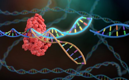 African Experts Convene in Nairobi to Validate Genome Editing Findings Across 16 Countries