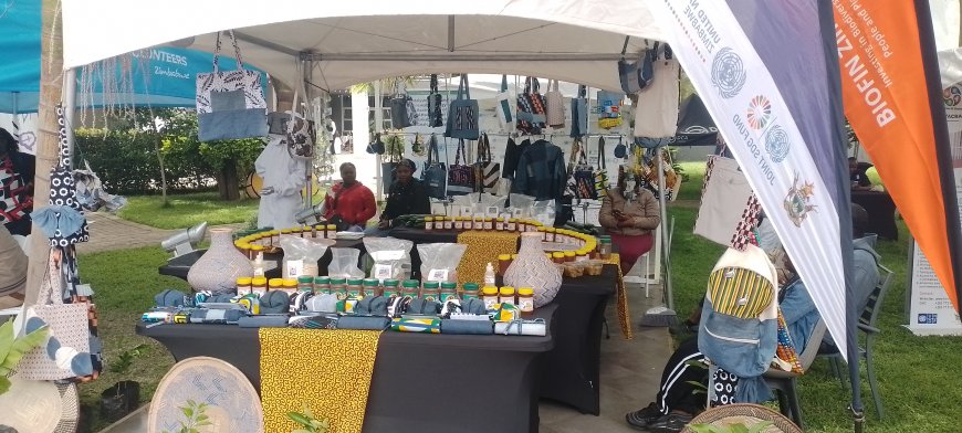 Deep Dive: The UNDP's Resilience Fund and Zimbabwe's Development Horizon (CPD 2022-2026)