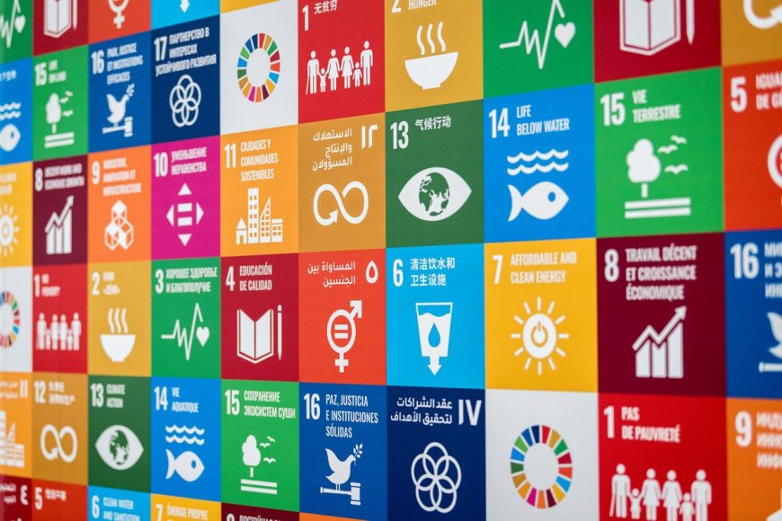 Zimbabwe’s Push for SDG 13 Resilience Under the UNDP CPD 2025