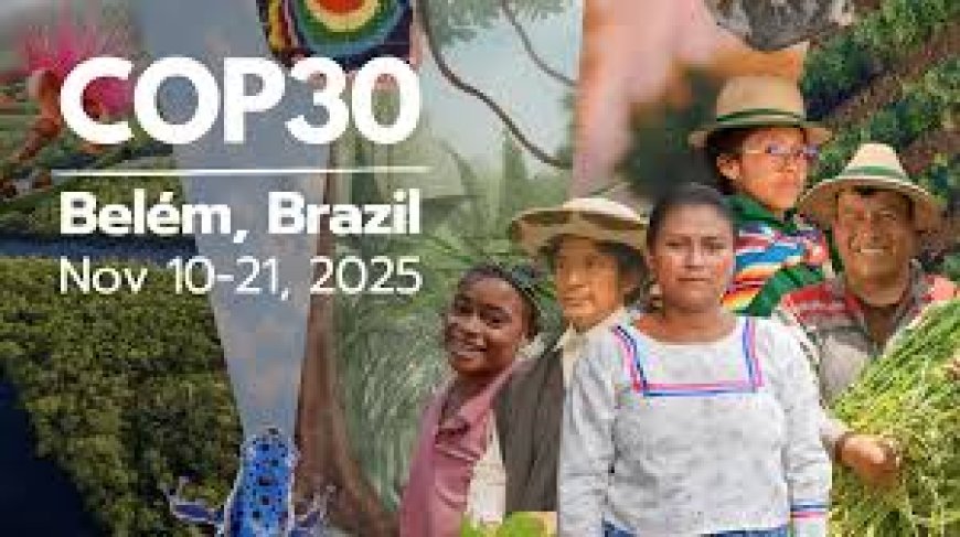 COP30: A Litany of Promises, and A Mountain of Needs