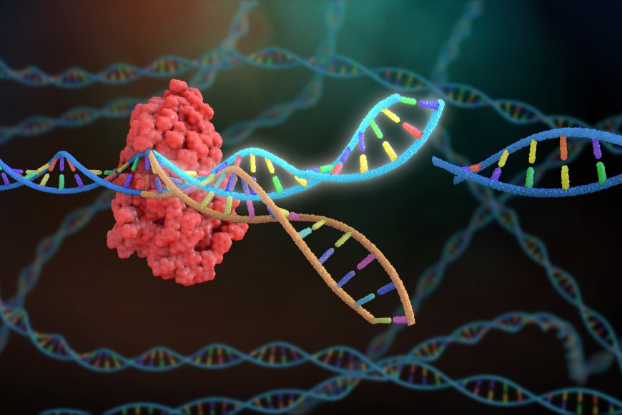 African Experts Convene in Nairobi to Validate Genome Editing Findings Across 16 Countries