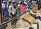 Zimbabwe Tightens Grip on Foot-and-Mouth Disease Outbreak   