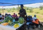 From Consultation to Transformation: Zimbabwe’s Rural Future Under RACP