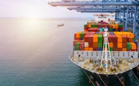 UAE, South Africa Drive 89% of Zimbabwe's December Exports as Gold Dominates Trade Flow