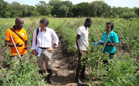 Myplant & Garden Middle East 2025: Greening the Desert, Shaping the Future