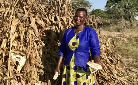 From Fragility to Resilience: Zimbabwe’s Stakeholders Shape the Future of Agriculture”