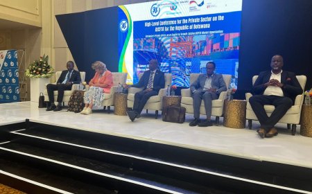 Botswana’s Private Sector: Seizing AfCFTA Market Opportunities