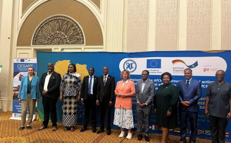 AfCFTA as Africa’s Survival Strategy: SADC’s Call for Deeper Integration