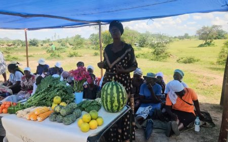 From Consultation to Transformation: Zimbabwe’s Rural Future Under RACP