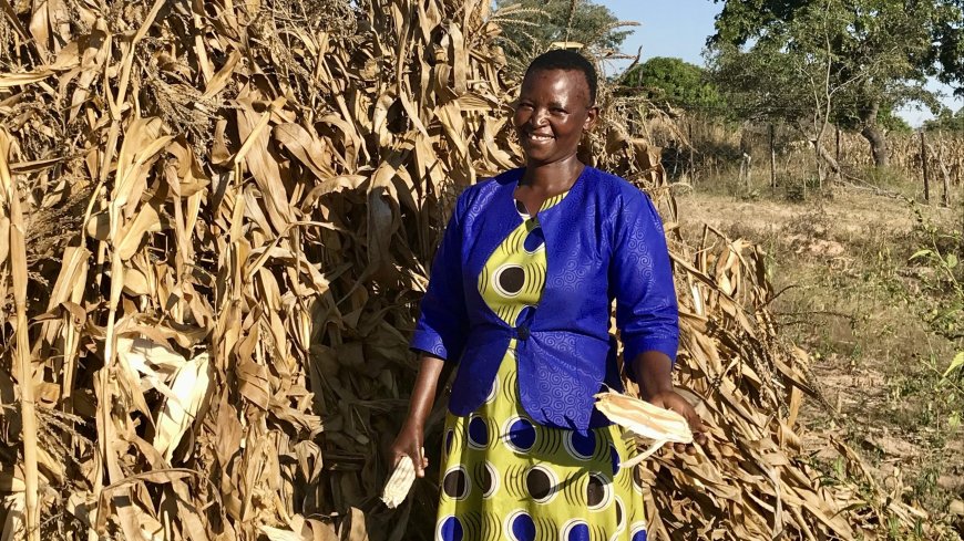 From Fragility to Resilience: Zimbabwe’s Stakeholders Shape the Future of Agriculture”