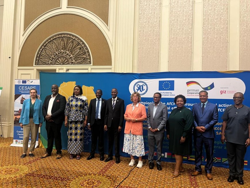 AfCFTA as Africa’s Survival Strategy: SADC’s Call for Deeper Integration