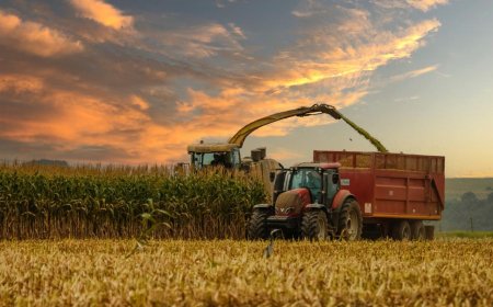 Zimbabwe Launches Livestock Climate Action Project to Reduce Methane Emissions and Boost Resilience