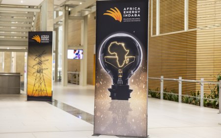 Spotlight on Africa’s Renewables Boom: Unlocking Africa's Clean Energy Potential Through IPPs, PPAs, and Investment Surge