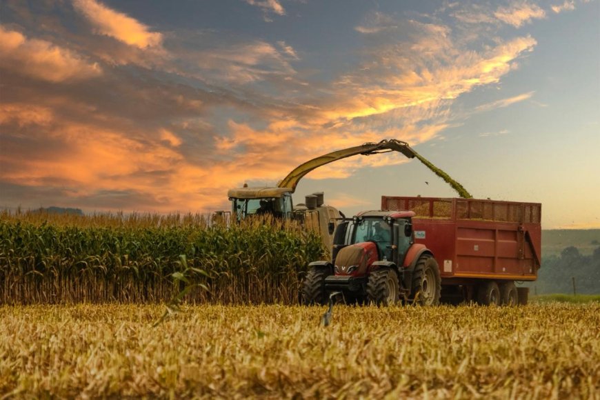 Zimbabwe Launches Livestock Climate Action Project to Reduce Methane Emissions and Boost Resilience