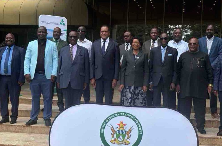 Inaugural Joint Forestry Indaba Sets Bold Agenda for Sustainable Tobacco and Forest Management