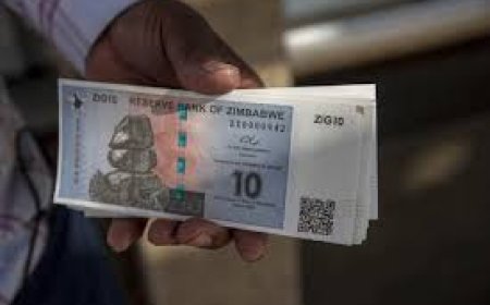 RBZ Unleashes Market-Driven Pricing as Parallel Market Premiums Plummet to 20%