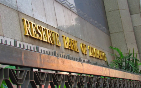 A Bold Leap Toward Stability: Reserve Bank Charts New Course for National Prosperity