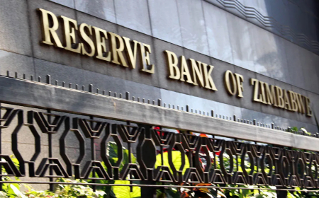 "Gweru Summit: Zimbabwe Unveils Multi-Sector Investment Roadmap for Diaspora to Drive Vision 2030"